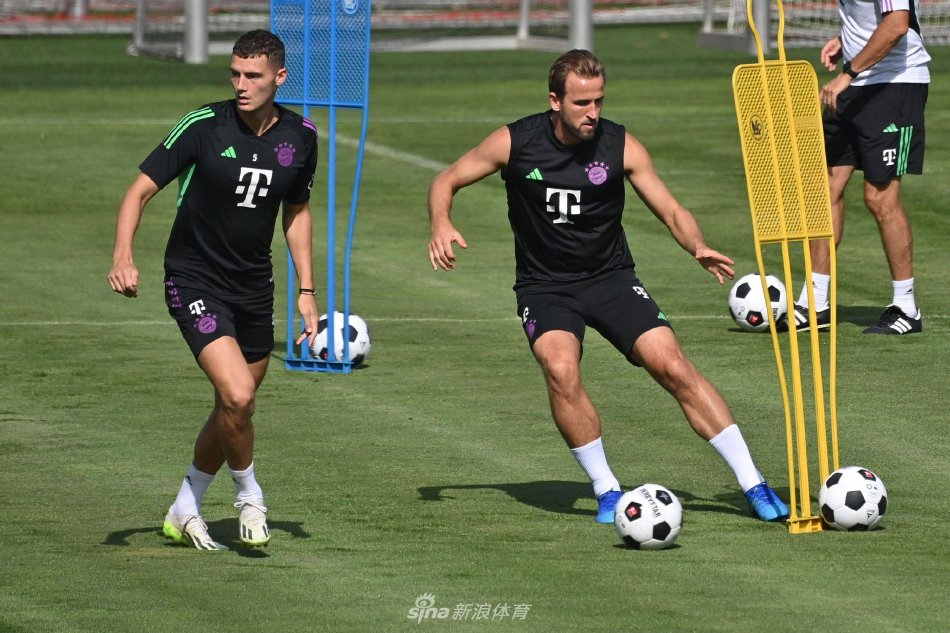 本届锦标赛 本届锦标赛