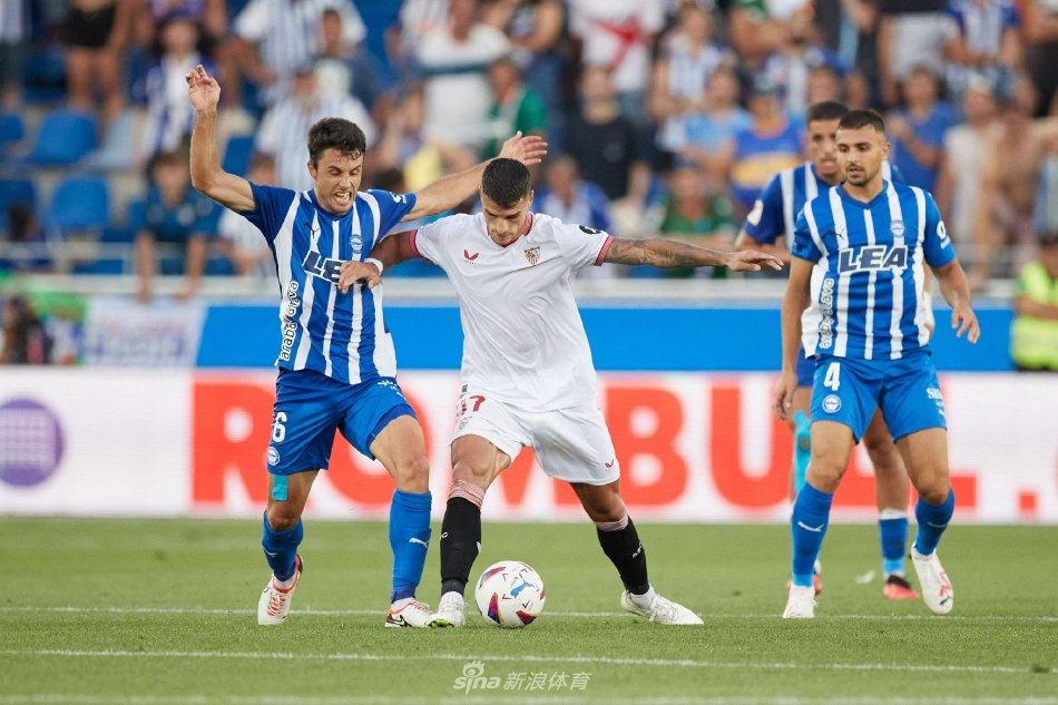 森林狼竞技 森林狼竞技